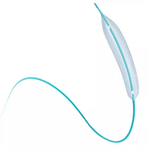 PTCA Balloon Dilation Catheter .png
